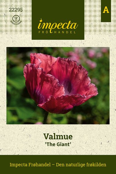 Hovedbilde Valmue The Giant