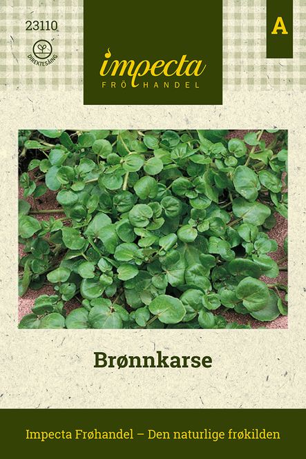 Hovedbilde Brønnkarse