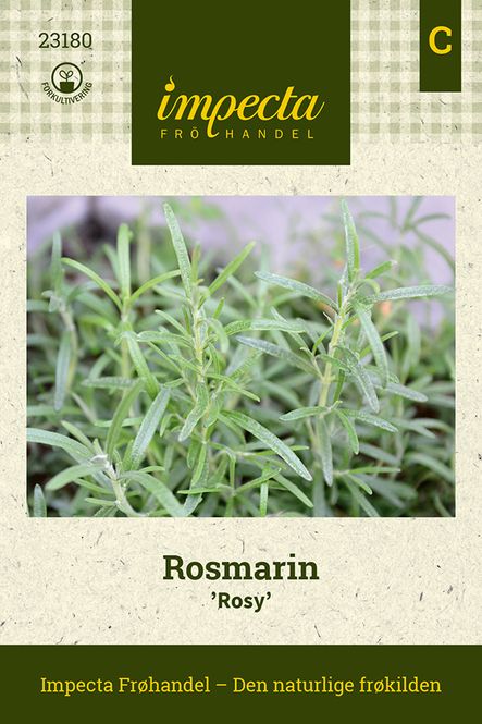 Hovedbilde Rosmarin 'Rosy'