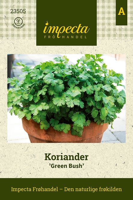 Hovedbilde Koriander 'Green Bush'