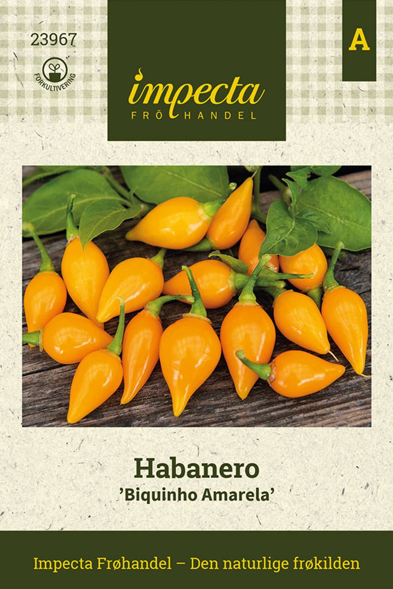 Habanero Biquinho Amarela