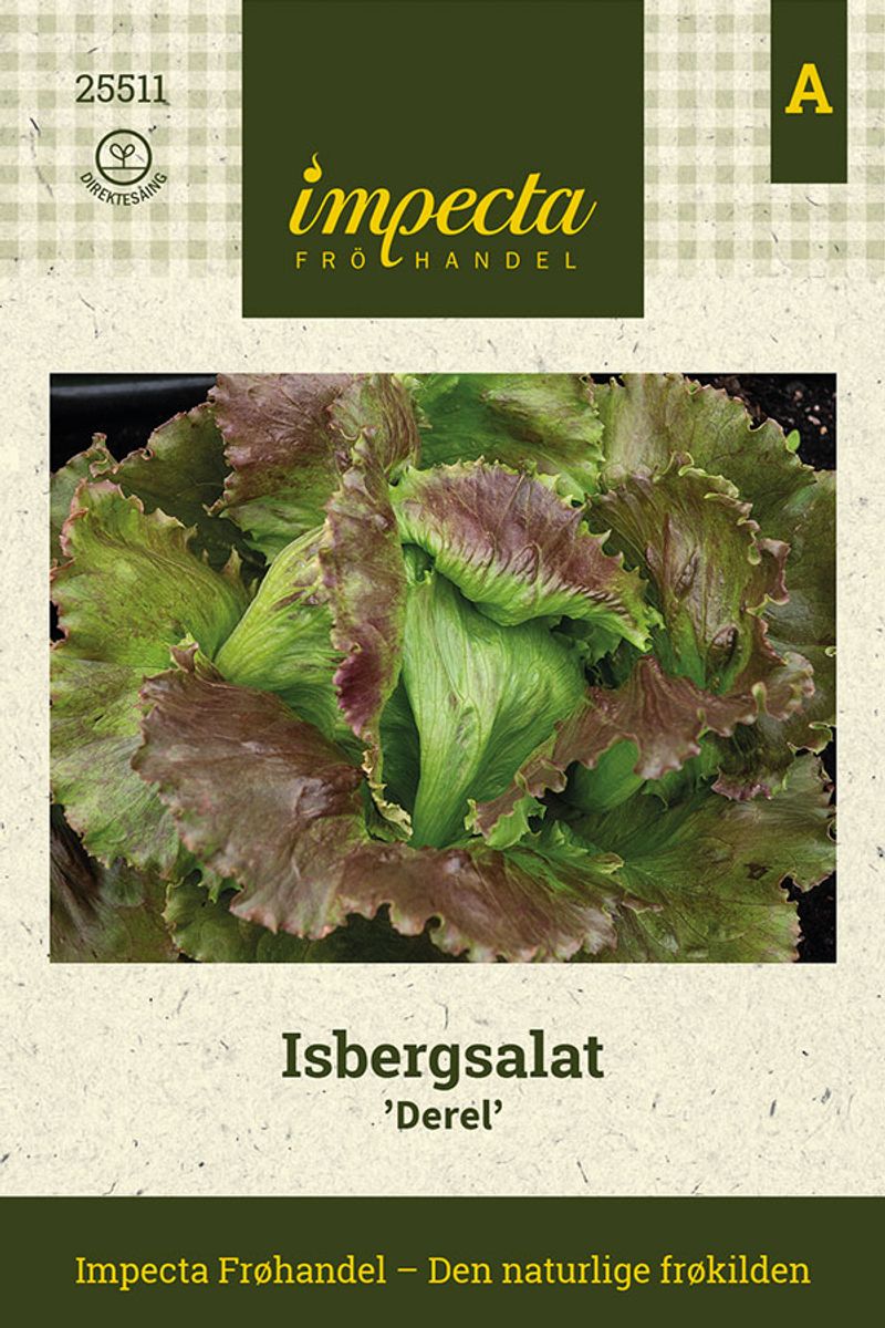 Isbergsalat 'Derel'