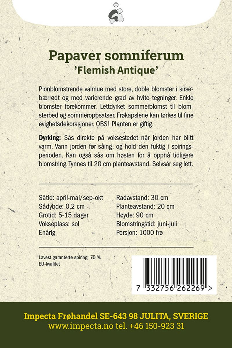 Pionvalmue 'Flemish Antique'