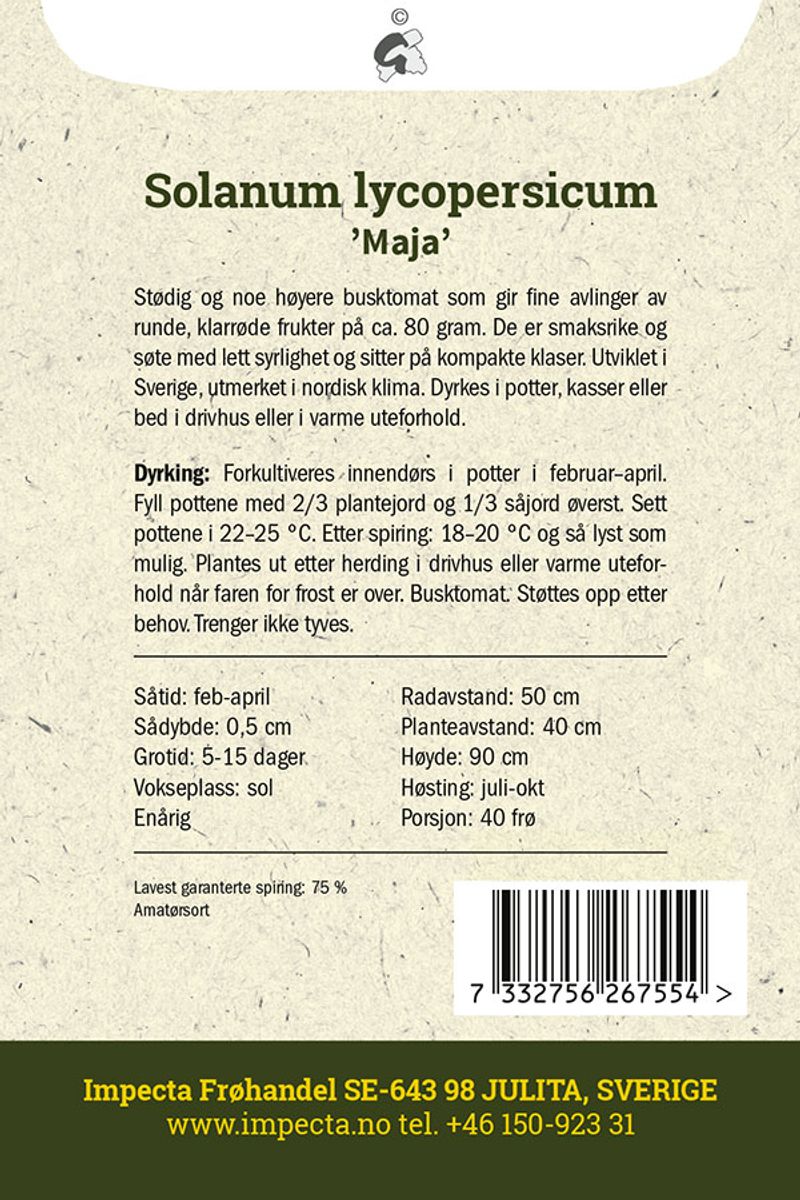 Tomat 'Maja'