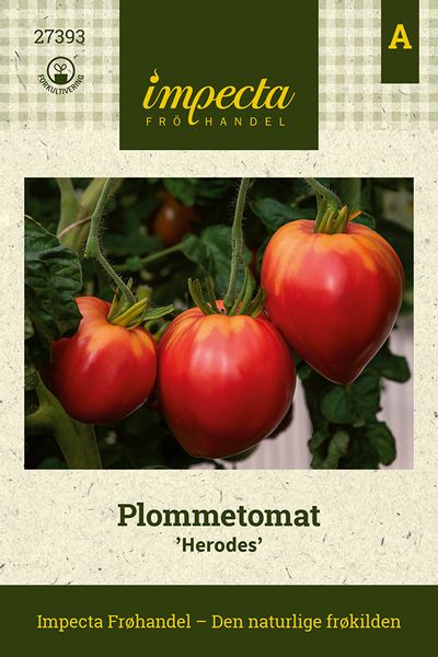 Hovedbilde Plommetomat 'Herodes'