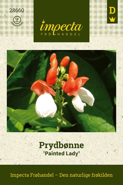 Hovedbilde Prydbønne 'Painted Lady'