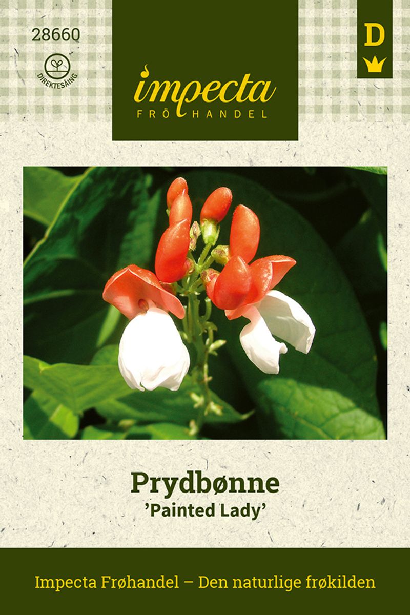 Prydbønne 'Painted Lady'