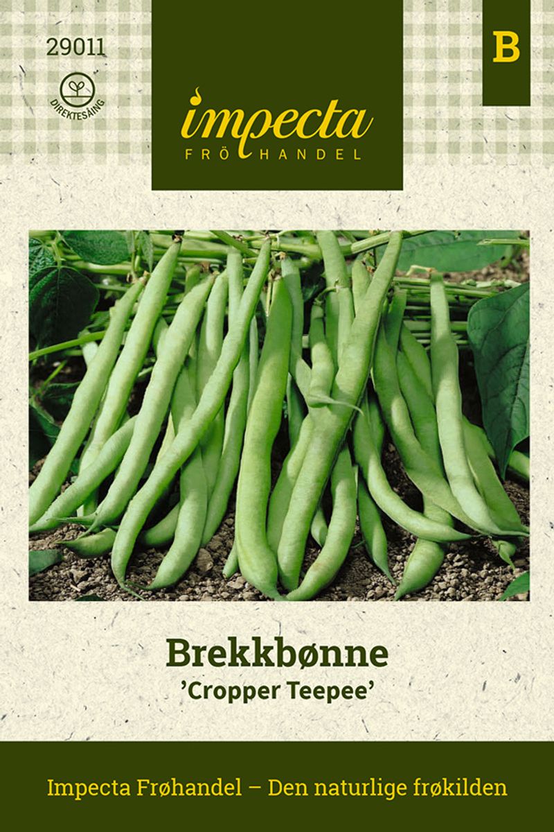 Brekkbønne 'Cropper Teepee'