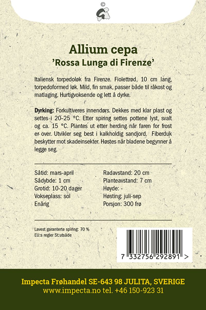 Rød Løk 'Rossa Lunga di Firenze'