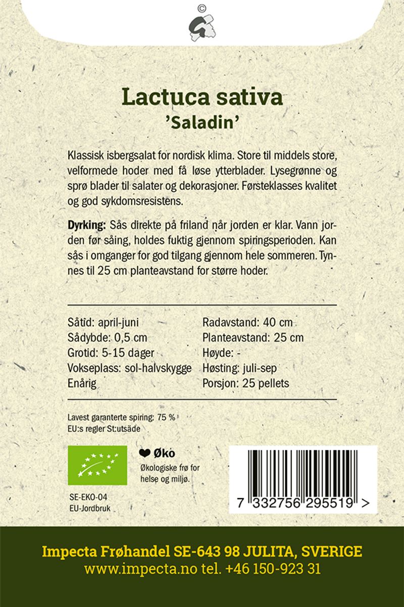 Isbergsalat 'Saladin'