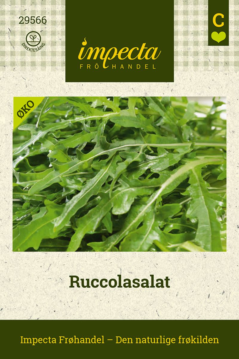 Ruccolasalat