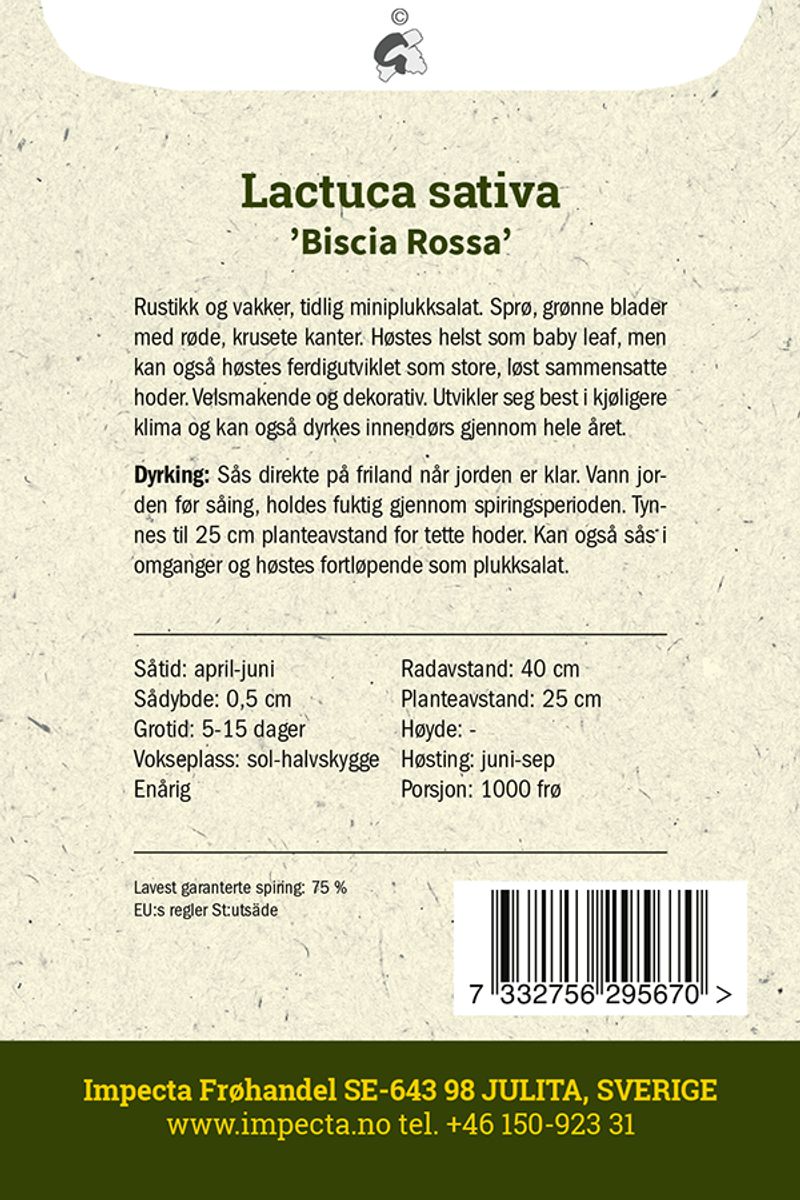 Hodesalat 'Biscia Rossa'