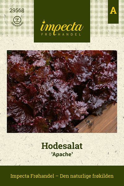 Hovedbilde Hodesalat 'Apache'