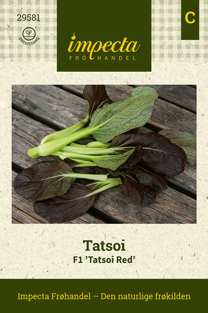 Tatsoi F1 'Tatsoi Red'