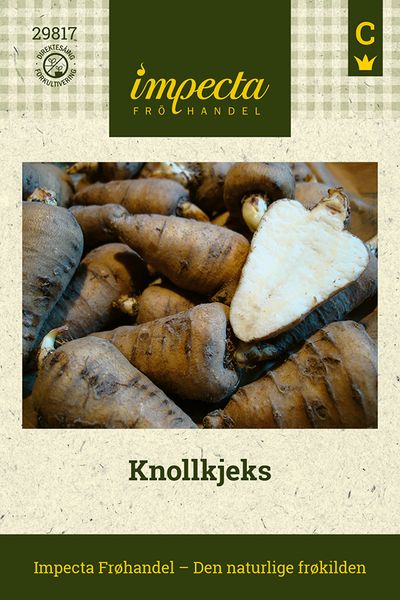 Hovedbilde Knollkjeks