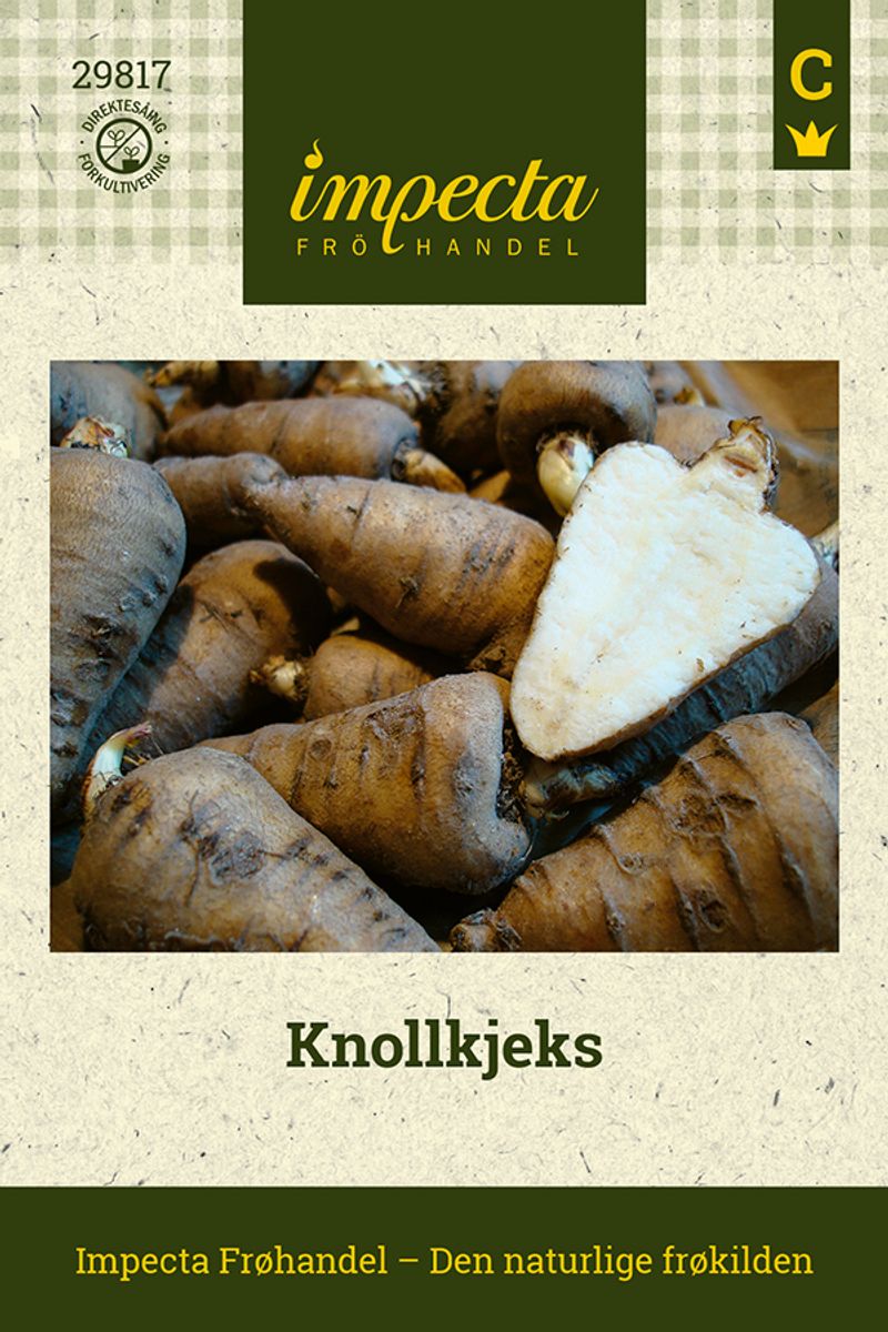 Knollkjeks