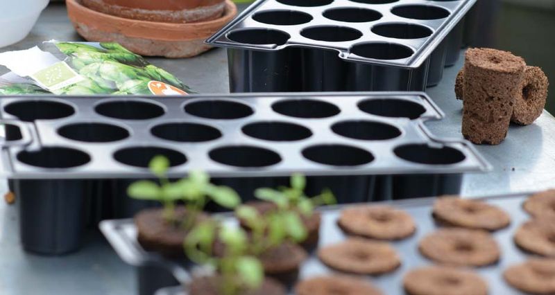 PLANTEPLUGG 14 stk