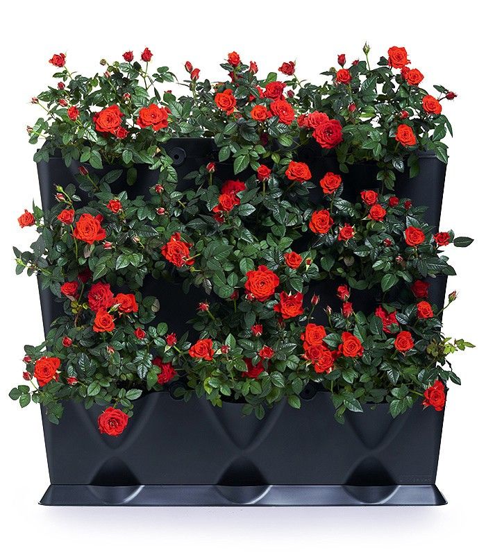 Minigarden Vertical, 9 planter - TV2; 