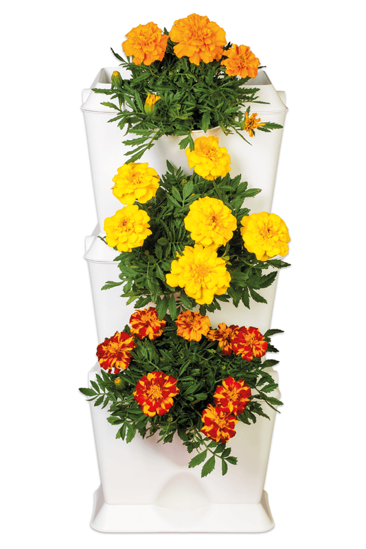 Minigarden One