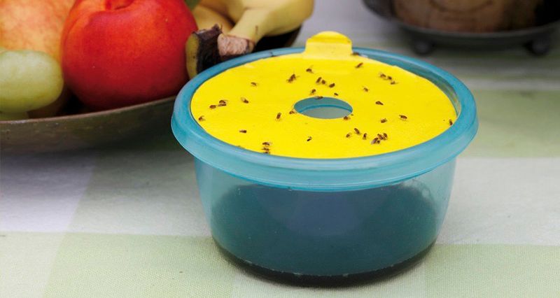 Bananfluefelle