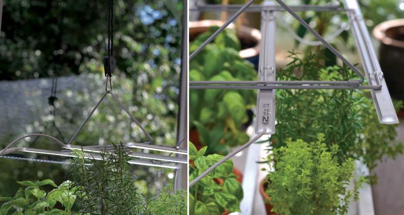 Plantelys LED No.1 60cm 15W med adapter