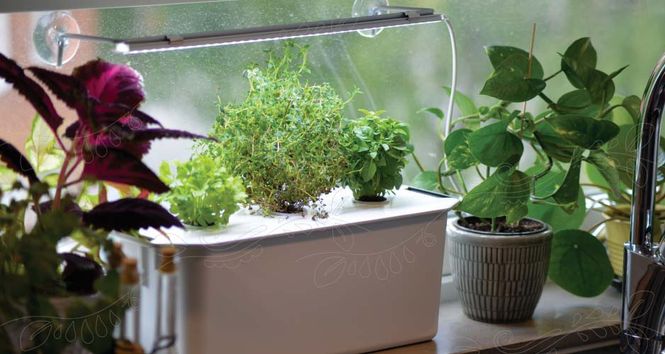 Hovedbilde Plantelys LED small, 15W 39cm