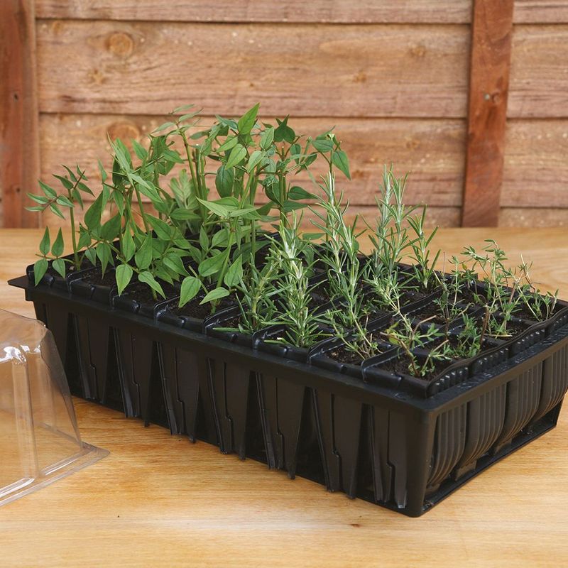 Rootrainers. For såing og småplante dyrking. 8cm dyp