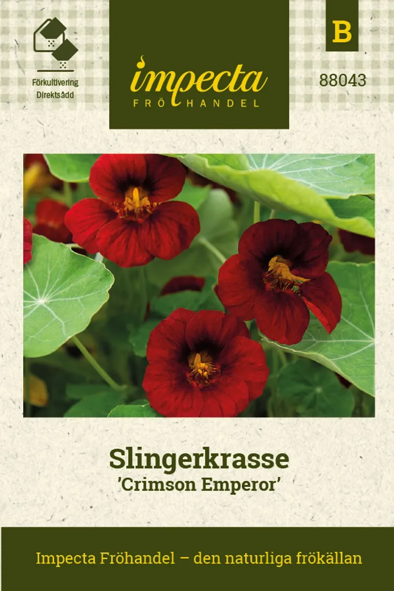 BLOMKARSE CRIMSON EMPEROR