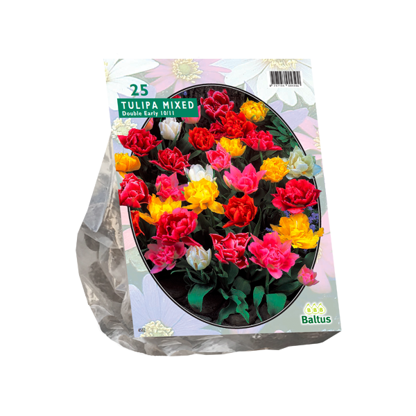 Hovedbilde Tulipa Dubbel Mix. 15 stk blomsterløk av tulipan