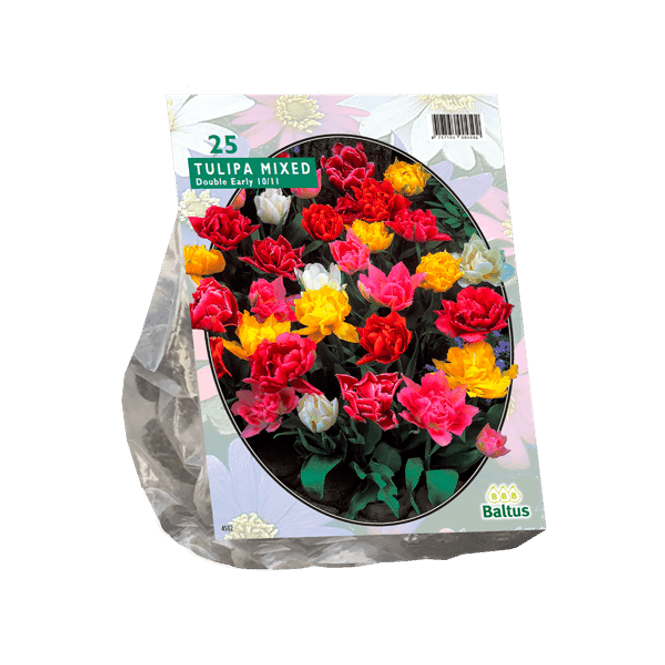 Hovedbilde Tulipa Dubbel Mix. 15 stk blomsterløk av tulipan