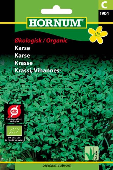 Hovedbilde Karse(Lat: Lepidium sativum)