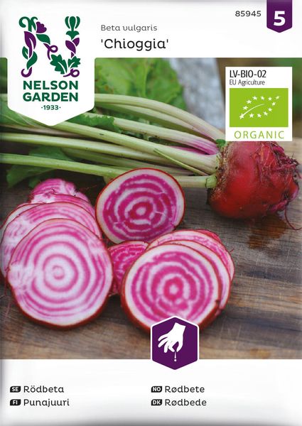 Hovedbilde Rødbete, Chioggia, Organic