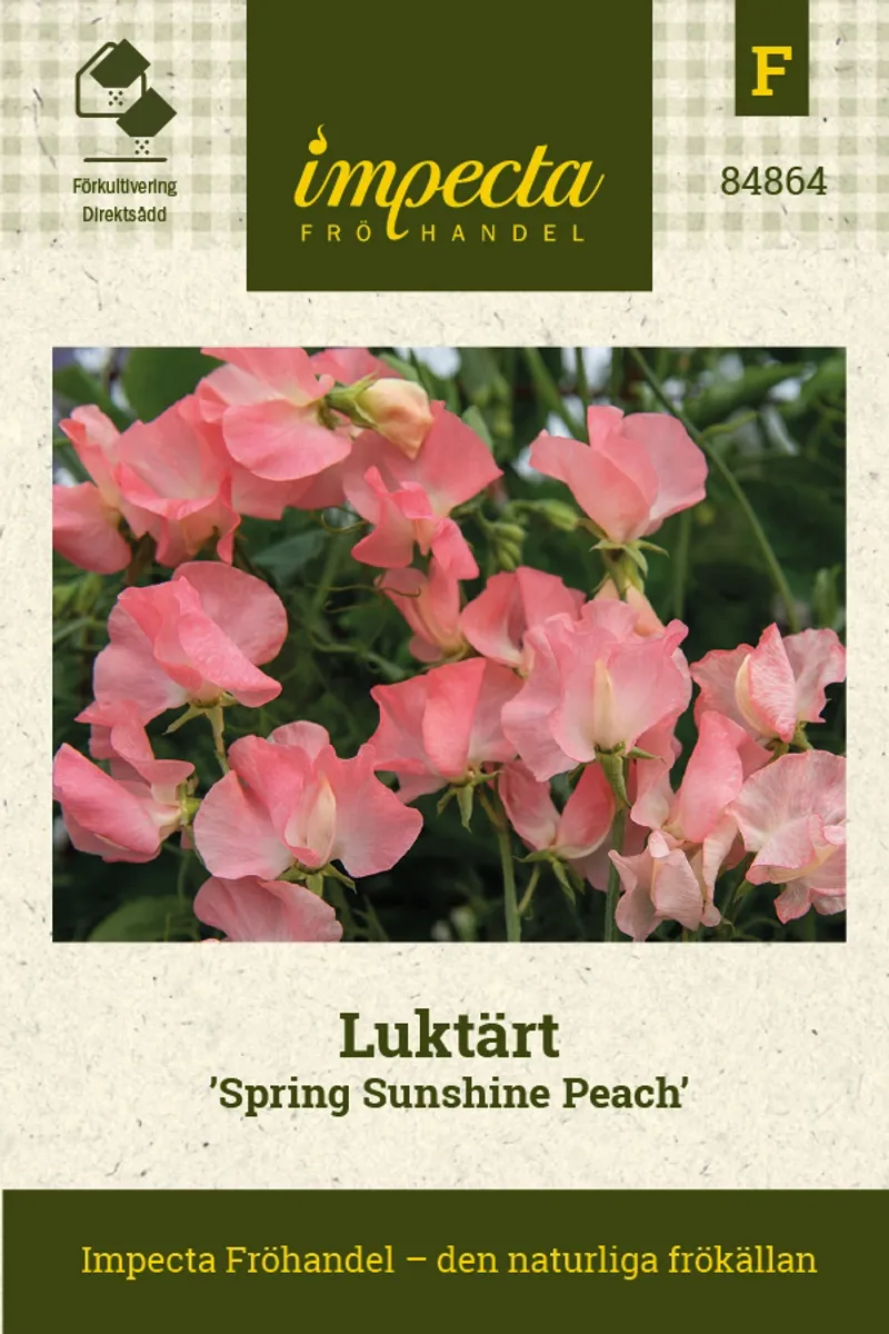 BLOMSTERERT SPRING SUNSHINE PEACE