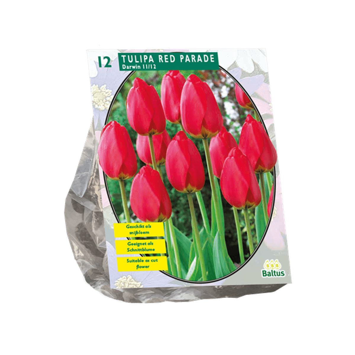Tulipan Red Parade 12 stk i pakningen