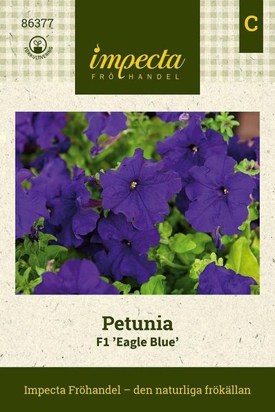 Hovedbilde PETUNIA F1 EAGLE BLUE