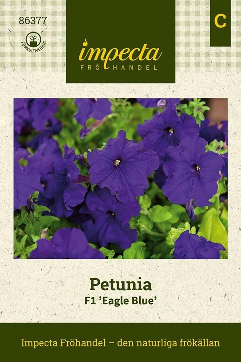 PETUNIA F1 EAGLE BLUE