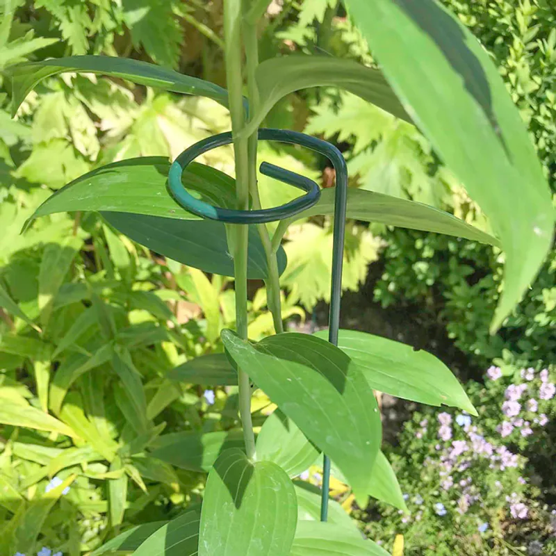 Planteoppbinding med øye. 61cm.  Ø 6cm  4 pakk