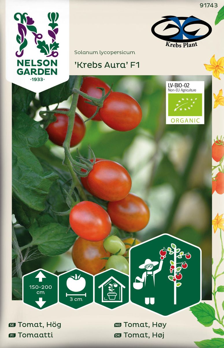 Tomat Cherry. 'Krebs Aura' F1