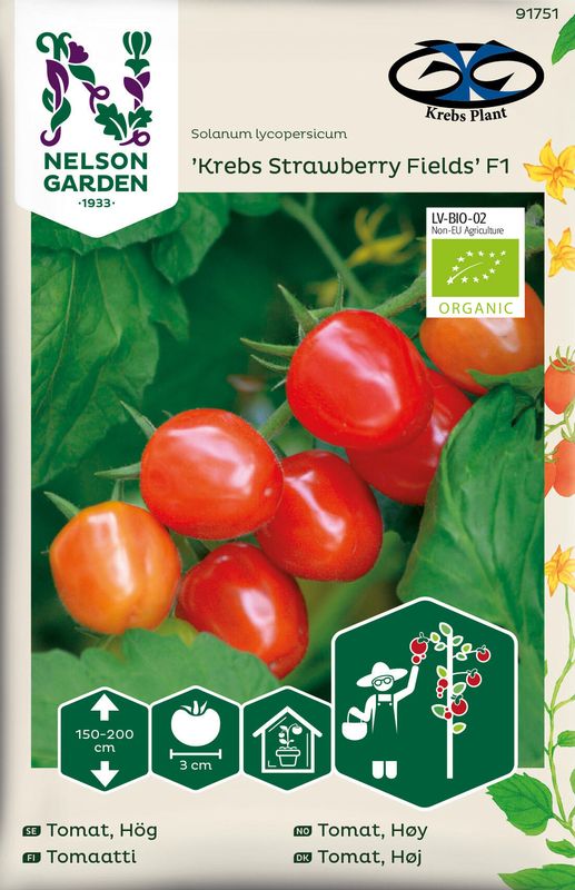 Tomat Cherry. 'Krebs Strawberry Fields' F1